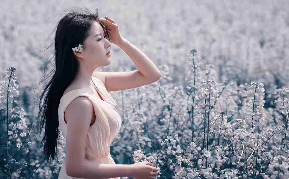 seo站群优化公司