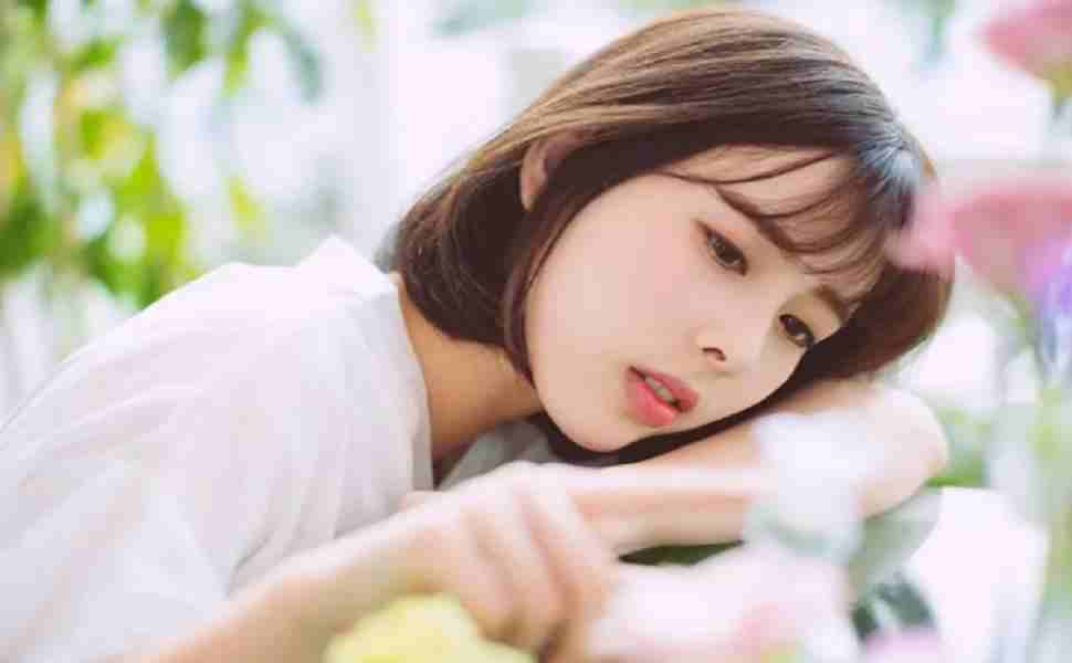 外链站群是什么意思